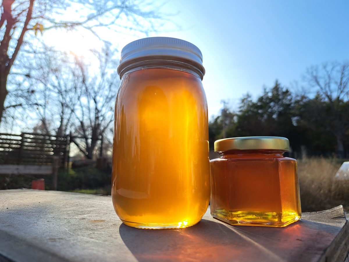 Jars of our honey glowing in the sun